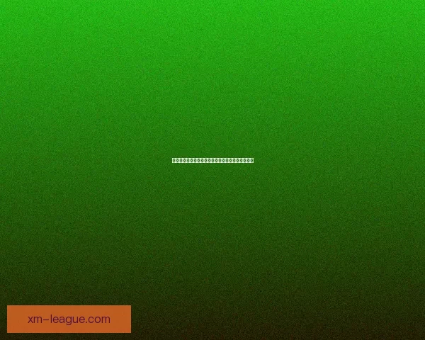 熊猫体育全新体验打造专业赛事互动与精彩直播平台 熊猫体育全新体验打造专业赛事互动与精彩直播平台